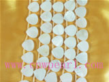 elegant 16mm five strands triangle white shell strands